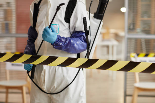 Professional Hoarding Cleanup technician working in Krakow, WI